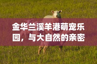 微信分付提现审核秒拒绝 微信分付提现审核秒拒，揭秘背后的真相与应对策略