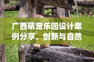 花呗扫码取现全攻略，手把手教你安全高效提现