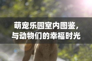 微信分付提现秒到账吗 微信分付提现秒到账？揭秘提现速度那些事儿！