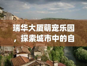 最快的微信分付提现 揭秘最快微信分付提现攻略，让你轻松秒到账！