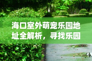 花呗套出来用什么码合适呀