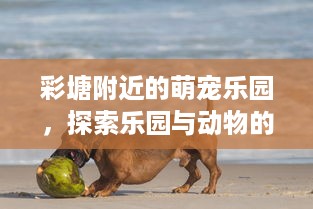 微信分付提现确认收货 微信分付提现确认收货，轻松操作指南及常见问题解答