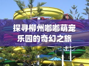 微信分付提现确认收货 微信分付提现确认收货，轻松操作指南及常见问题解答