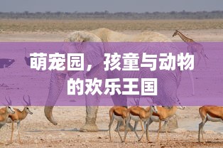 京东白条取消提现面部识别 京东白条取消提现面部识别功能，安全升级还是用户体验挑战？