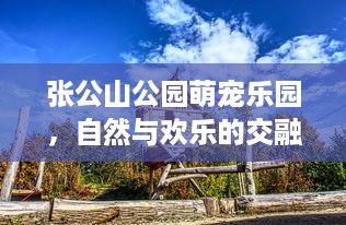 萌宠乐园入驻广饶进展报告