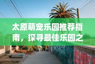 微信分付提现额度消失了 微信分付提现额度消失之谜，揭秘原因及应对策略