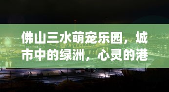 微信分付提现额度消失了 微信分付提现额度消失之谜，揭秘原因及应对策略