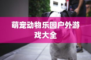萌宠乐园开园音乐推荐清单