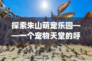 萌宠乐园门票限时秒杀宜昌活动攻略