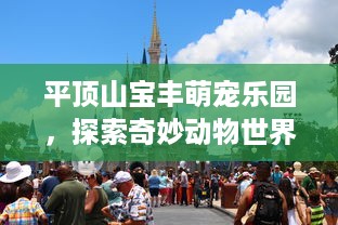 许昌萌宠乐园官网订票平台—开启你的宠物探险之旅