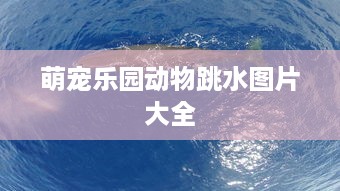 自营白条取现 揭秘自营白条取现，轻松融资，你的资金周转小帮手！