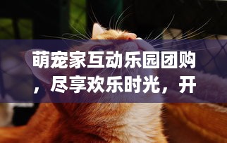 微信分付提现口子 揭秘微信分付提现攻略，轻松解锁提现口子，告别资金周转难题！