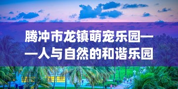 西田城萌宠乐园攻略