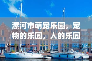 走抖音月付提现 揭秘抖音月付提现攻略，轻松赚钱，安全提现！