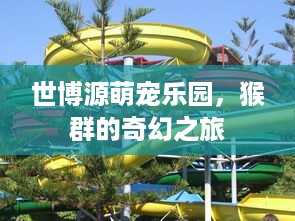 偷查老婆微信聊天记录内容？别冲动，先冷静思考