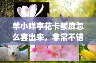 中山凯隆城萌宠乐园门票—亲子游的天堂，萌宠爱好者的新选择