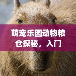 五通萌宠乐园电话服务指南