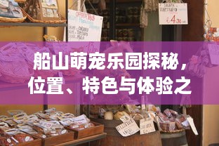 如何查开房纪录 轻松掌握查开房纪录的秘诀，让你了解隐私无死角！