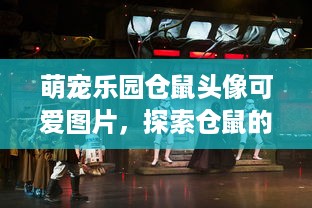 抖音月付在哪里套出来 揭秘抖音月付套现攻略，轻松找到隐藏的宝藏