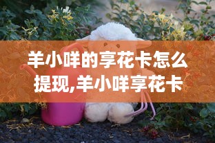公安网查开房记录，隐私保护与执法平衡之道