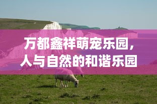 最靠谱的京东白条提现 揭秘最靠谱的京东白条提现攻略，轻松变现你的白条额度！