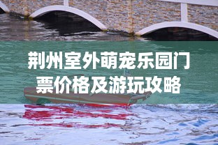 上海萌宠乐园露营价格表