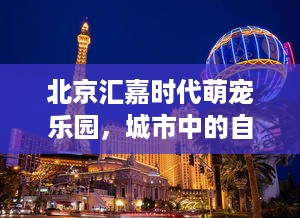 上海萌宠乐园露营价格表