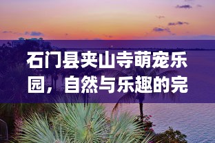 京东白条公账取现全攻略，手把手教你合规操作与避坑指南