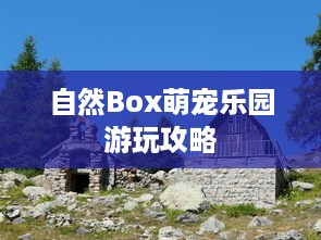 萌宠乐园滑梯汪星人的奇妙冒险