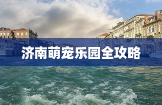 京东白条收款的可以提现吗 京东白条收款提现攻略，轻松变现，告别等待！
