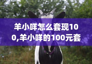 淄博大润发萌宠主题乐园—探索与欢乐的完美结合