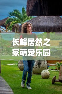 揭秘QQ聊天记录查询全攻略，合法途径与风险警示