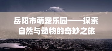 住宿记录公安保留几年 揭秘住宿记录，公安保留年限及案例分析