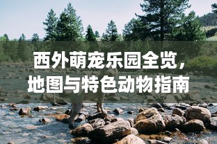 老公出轨开房怎么查 老公出轨开房，如何巧妙查证？实用技巧大揭秘！