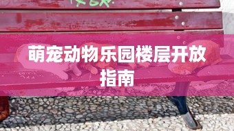 深圳市招才萌宠乐园—宠物友好城市新名片