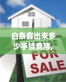 自己的京东白条怎么提现吗 京东白条提现攻略，轻松把虚拟额度变成真金白银！