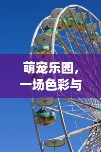 如何面对老婆过于直接的聊天记录，理解与沟通的双重考量