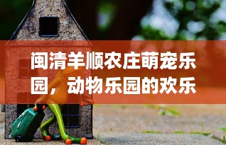 东莞东城萌宠乐园揭秘