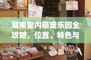 安庆猪廊萌宠乐园的位置与特色