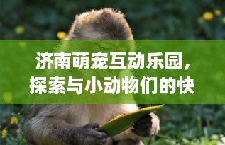 商家白条提现攻略