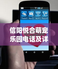 萌宠乐园手抄报内容文案