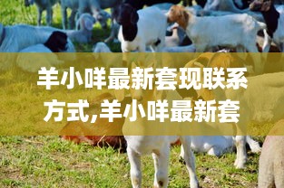 遵义微信分付取现额度多少 揭秘遵义微信分付取现额度，额度多少？如何提升？