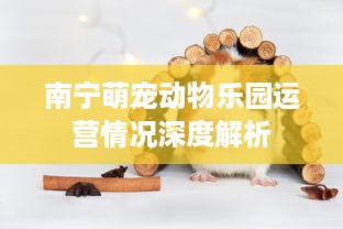 遵义微信分付取现额度多少 揭秘遵义微信分付取现额度，额度多少？如何提升？
