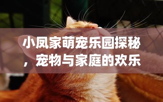 关于警察查开房记录的探讨