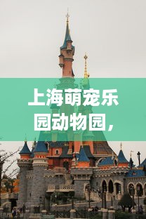 苏州海昌萌宠乐园店长工作报告