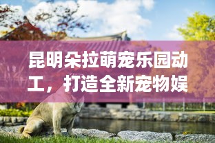 苏州海昌萌宠乐园店长工作报告