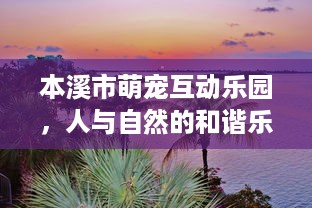 苏州海昌萌宠乐园店长工作报告