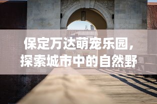 萌宠山庄乐园文案短句子