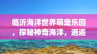 微信分付提现抠手续费 微信分付提现那些事儿，手续费抠门，用户直呼过瘾！