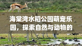 微信语音聊天记录被删如何找回？三步排查+隐藏方法大公开